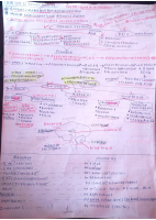New Document(2).pdf